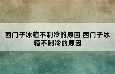 西门子冰箱不制冷的原因 西门子冰箱不制冷的原因